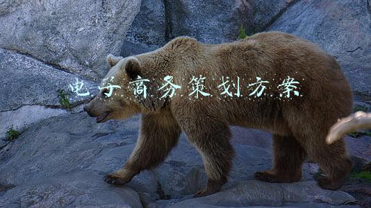 电子商务策划方案范例(电商文案策划)