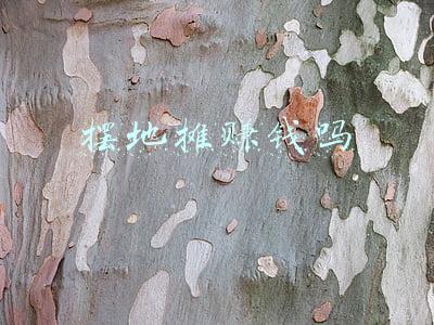 摆地摊赚钱吗