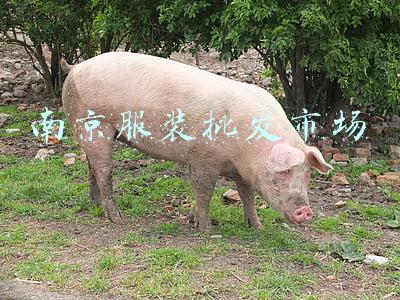 南京服装批发市场