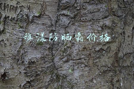 雅漾防晒霜价格