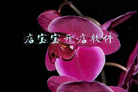 店宝宝是什么软件(生活不只有一地鸡毛，店宝宝网店创业开拓人生路)