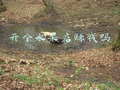 开个水果店赚钱吗