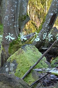 开个水果店利润怎么样(想开家水果店收入大吗，做水果店收入如何)