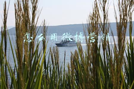 怎么用微博营销