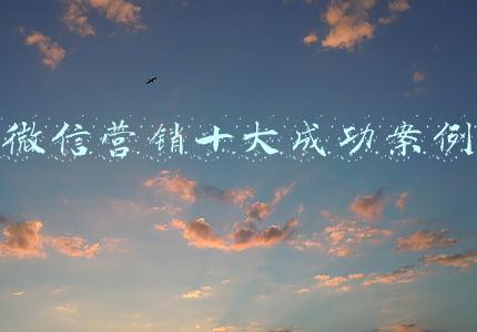 微信营销十大成功案例