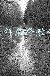 装饰装修教程