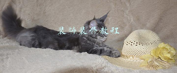 装饰装修教程