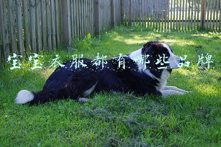 宝宝衣服都有哪些品牌