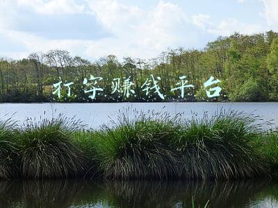 打字赚钱平台官网(趣输入安全不有危险没 趣输入能赚钱是真的吗（怎么赚攻略）)