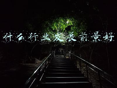 什么行业发展前景好