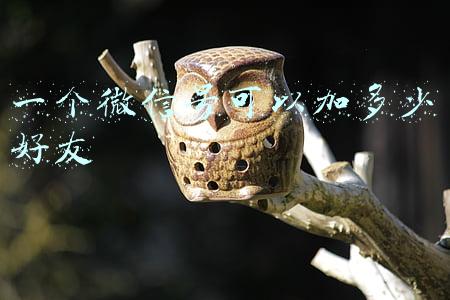 一个微信号可以加多少好友