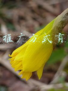 线下推广方式有哪些
