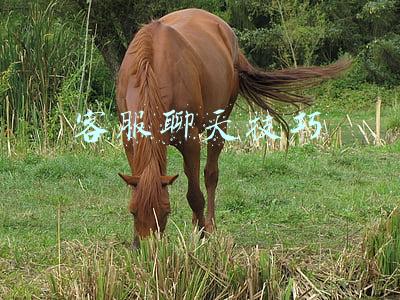 卖衣服客服聊天技巧(辽宁翌启电商：网店客服必备的沟通技巧)