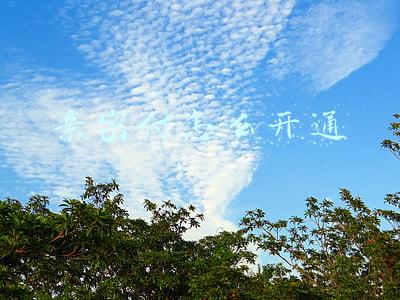 亲密付怎么开通