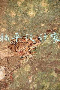 躺平设计家