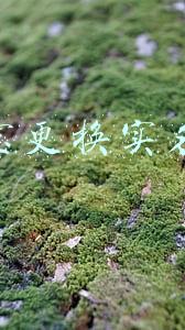支付宝更换实名认证