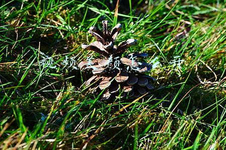 视频美颜怎么开