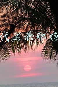 晚上下班后做代驾司机(代驾等灵活就业人员变多 你下班后打过“零工”吗)