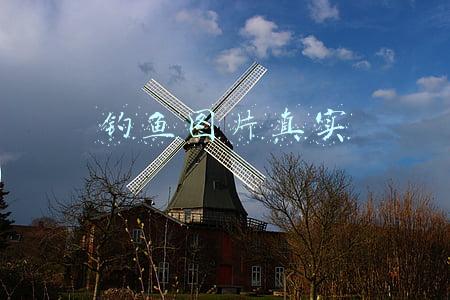 钓鱼图片真实 卡通图片(澳大利亚渔民用迪士尼卡通造型塑料荧光鱼饵钓鱼引发争议)