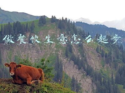 做餐饮生意怎么起步