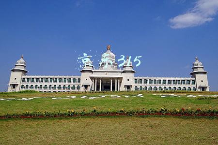 京东315