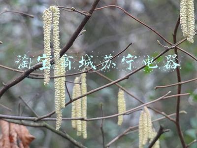 淘宝商城苏宁电器