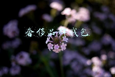 奢侈品牌钱包