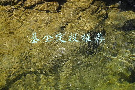2022基金定投推荐(2022年最看好的基金组合)