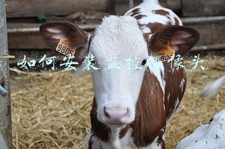 如何安装监控摄像头