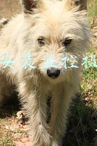 如何安装监控摄像头