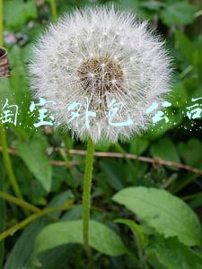 淘宝外包公司