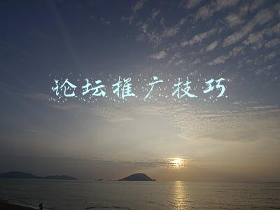 网站推广论坛(中国十大“平台类网站推广”公司)