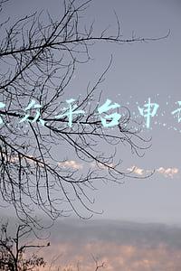 微信公众平台申请流程
