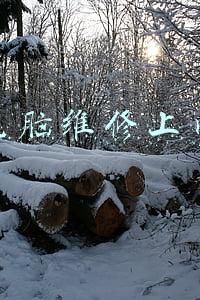 电脑维修上门