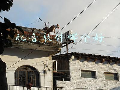 配音软件哪个好