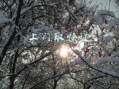 上门取快递