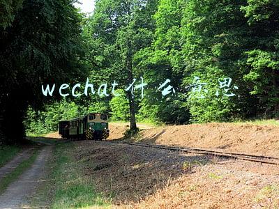 wechat什么意思