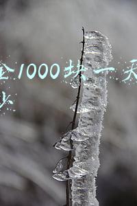 基金1000块一天赚多少