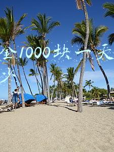 基金1000块一天赚多少