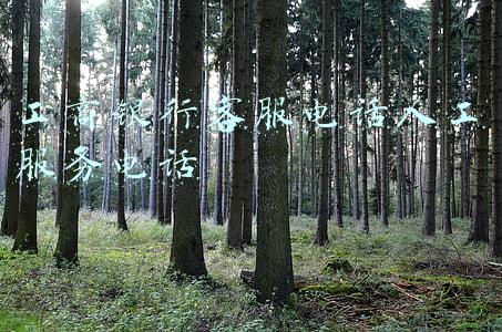 工商银行客服电话人工服务电话