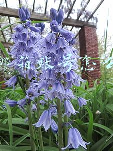 网易邮箱账号怎么注册