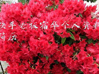 快手老板宿华个人资料简历