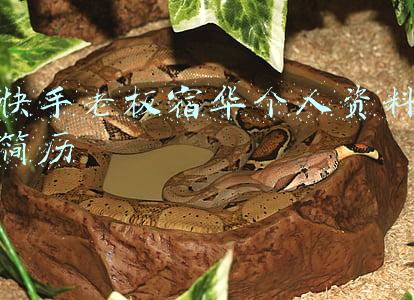 快手老板宿华个人资料简历