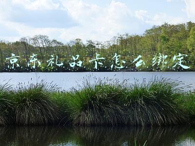京东礼品卡怎么绑定