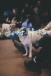 淘宝刷好评犯法吗