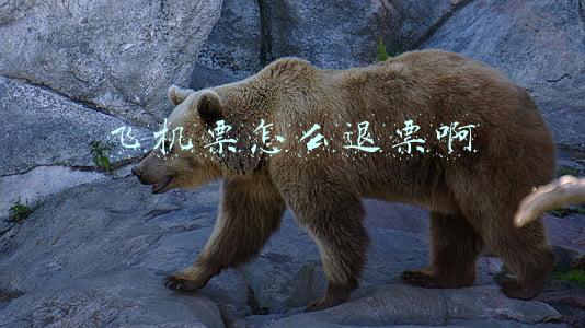 飞机票怎么退票最省钱(754元买的机票，退票只拿回250元？了解这些，或可免退票费)