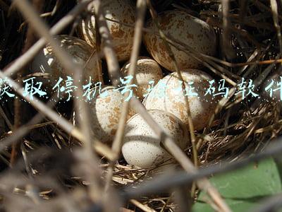 获取停机号验证码软件