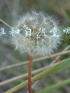 珀莱雅和自然堂哪个好用