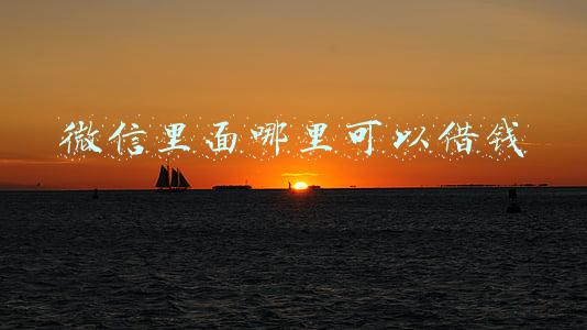 微信里面哪里可以借钱最诚信的(手机支付里的零花钱——微众银行小鹅花钱)