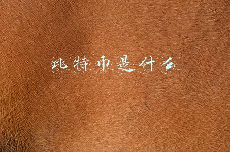 比特币是什么